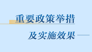 重要政策舉措及實(shí)施效果